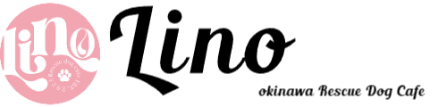 LINO｜保護犬譲渡＆ふれあいカフェ（沖縄県南城市）