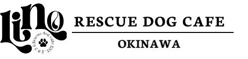 LINO|保護犬譲渡&ふれあいカフェ(沖縄県南城市)
